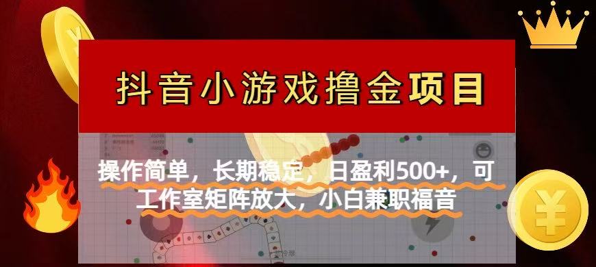 （14290期）【抖音小游戏发行人计划项目】操作简单，长期稳定，日盈利500+，可工作...-亮剑学堂