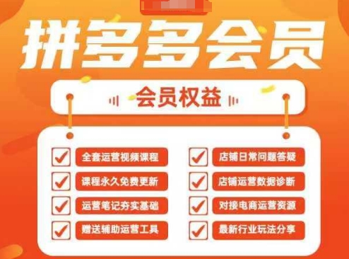 2025拼多多运营实战课，40节全流程教学，覆盖拼多多运营全链路-亮剑学堂